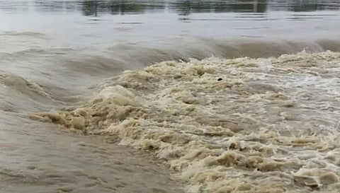 சாத்தனூர் அணை திறப்பு: கரையோர மக்களுக்கு வெள்ள அபாய எச்சரிக்கை