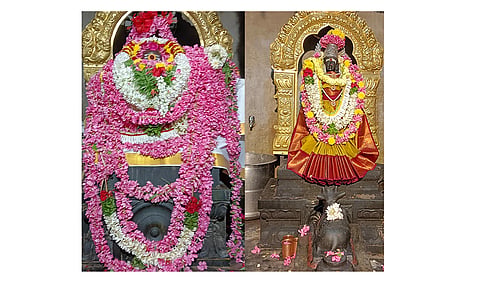 அண்ணாமலையார் கோவிலில் பிரதோஷ வழிபாடு
