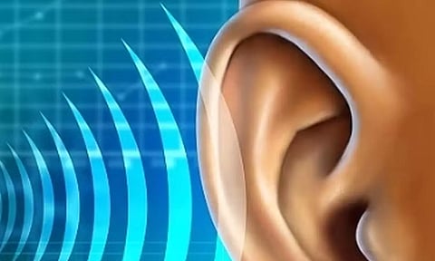 கோப்புபடம். 