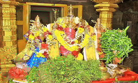 பாளை ராமசாமி கோவிலில் சிறப்பு அலங்காரத்தில் சுவாமிகள்.