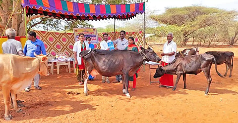 முகாம் நடந்தபோது எடுத்த படம்.