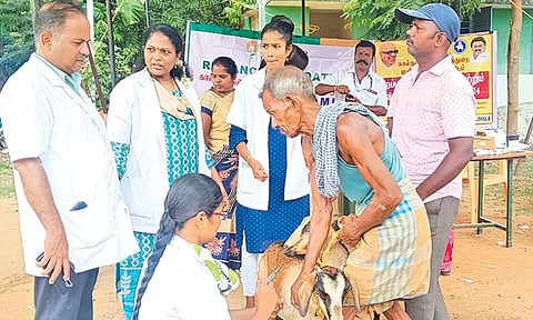 கால்நடை முகாம் நடந்தது.