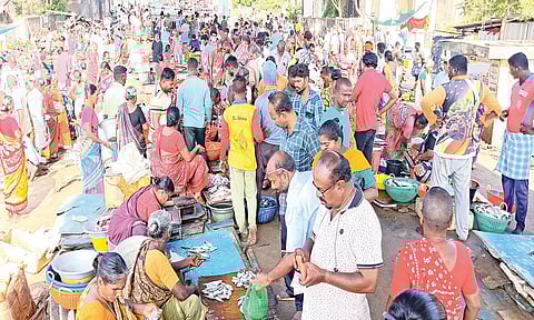 கடலூர் துறைமுகத்தில் மீன்கள் வாங்க குவிந்த பொது மக்களை படத்தில் காணலாம்.