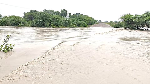 திருச்சுழி அருகே மறவர் பெருங்குடி ஓடையில் வெள்ளப்பெருக்கு ஏற்பட்டுள்ளதை படத்தில் காணலாம்.