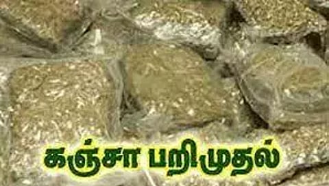 2 கிலோ கஞ்சா கடத்திய 3 பேர் கைது