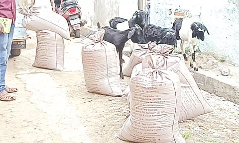 சாலையில் கிடந்த ரேஷன் அரிசி மூட்டைகள்