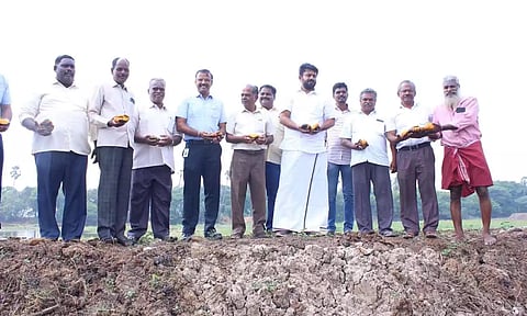 காட்டுக்குப்பம் ஏரியின் கரை மேம்படுத்தப்பட்ட பகுதியில் பனைவிதைகளை செந்தில்குமார் எம்.எல்.ஏ. நட்டு வைத்தார்.