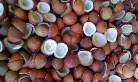 கோப்புபடம். 
