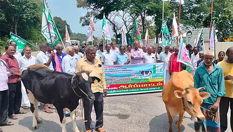 பல்வேறு கோரிக்கைகளை வலியுறுத்தி தமிழ்நாடு பால் உற்பத்தியாளர் சங்கத்தினர் தளவாய்பட்டி பால் பண்ணை முன்பு கறவை மாடுகளுடன் ஆர்ப்பாட்டத்தில் ஈடுபட்ட காட்சி.