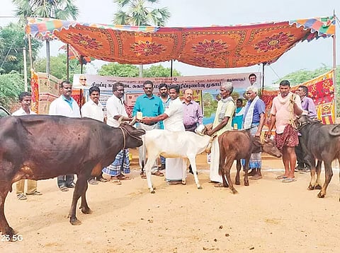 ஆழ்வார்திருநகரி அருகே கால்நடை சுகாதார விழிப்புணர்வு முகாம்