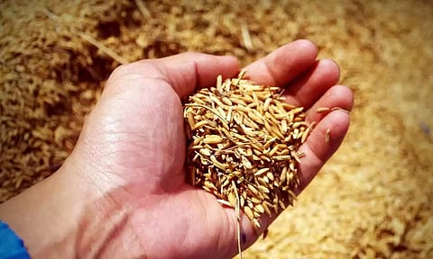 விதிமுறைகளை மீறியதால் அரூரில் விதை விற்பனை நிலைய உரிமம் தற்காலிகமாக ரத்து விதை ஆய்வு அதிகாரி அறிக்கை