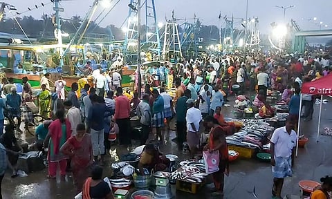 கடலூர் மீன்பிடி துறைமுகத்தில் குவிந்த பொதுமக்களை படத்தில் காணலாம்.