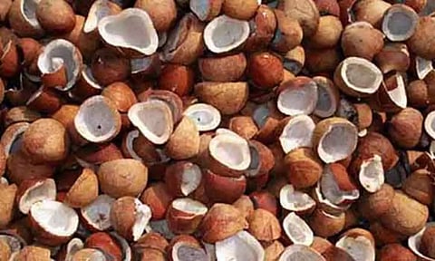 கோப்புபடம். 