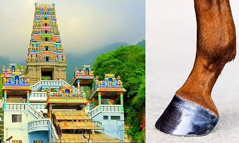 குதிரைக் குளம்படிச்சுவடு