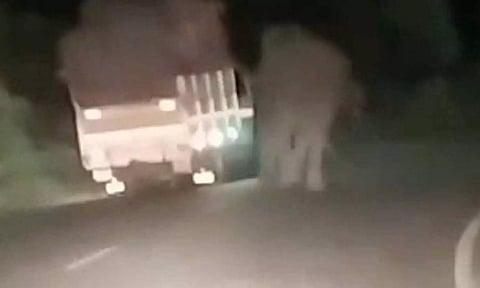 சரக்கு வாகனத்தை யானை தடுத்து நிறுத்திய காட்சி.