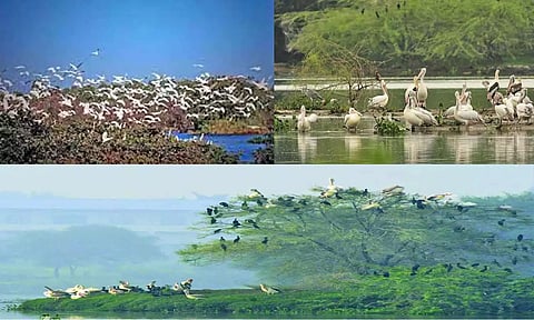 கோப்பு படம்.