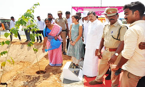 மரக்கன்றுகள் நடும் விழா