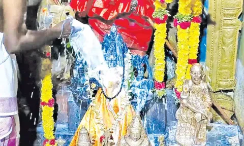 தேவதுர்க்கை அம்மனுக்கு பாலாபிஷேகம் நடந்தது.