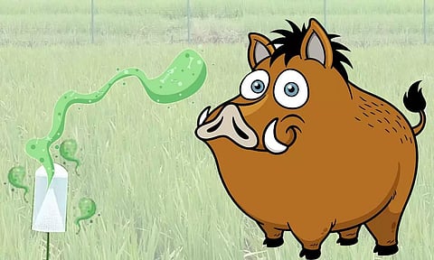 கோப்பு படம்.