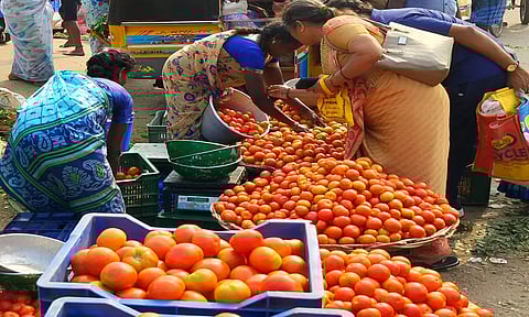 திண்டுக்கல் காந்தி மார்க்கெட்டில் விற்பனைக்கு வந்த தக்காளி.