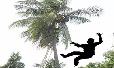 மரத்தில் இருந்து விழுந்து தொழிலாளி சாவு