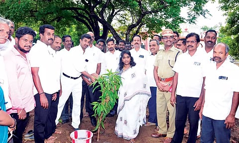 வேதாரண்யம் நீதிமன்ற வளாகத்தில் நீதிபதி கார்த்திகா மரக்கன்றுகளை நட்டார்.