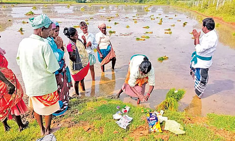 சம்பா நடவு பணிகளை தொடங்க வயலில் நெல் நாற்றுக்களை வைத்து சாமி கும்பிடும் தொழிலாளர்கள்.