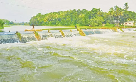 தொடர்மழை எதிரொலியாக பேச்சிப்பாறை-பெருஞ்சாணி அணைகளுக்கு நீர்வரத்து அதிகரிப்பு