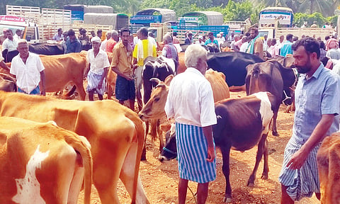 சீனாபுரம் கால்நடை சந்தையில் ரூ.1 கோடிக்கு கால்நடைகள் விற்பனை