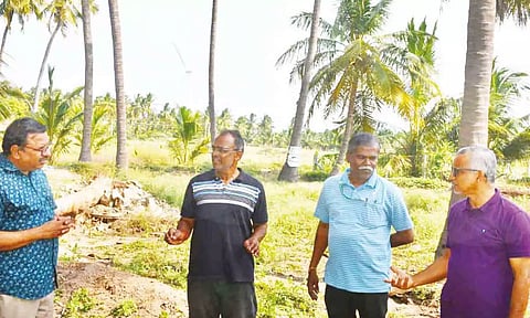 தென்னந்தோப்பில் அதிகாரிகள் ஆய்வு செய்த போது எடுத்த படம்.