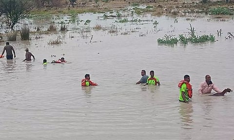 விளாத்திகுளம் அருகே காட்டாற்று வெள்ளத்தில் சிக்கிய 250 ஆடுகள் பத்திரமாக மீட்பு