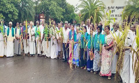 கடலூர் கலெக்டர் அலுவலகத்திற்கு விவசாயிகள் கையில் கருகிய மக்காச்சோளத்துடன் மனு கொடுக்க வந்தனர்.