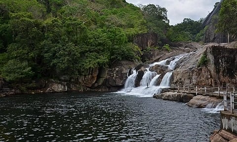 மணிமுத்தாறு அருவியில் நீர்வரத்து அதிகரிப்பால் சுற்றுலா பயணிகள் குளிக்க தடை