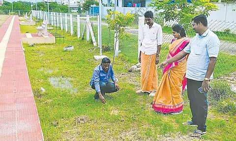 மரக்கன்று நடும் இடங்களை நகர்மன்ற தலைவர் ஆய்வு செய்தார்.