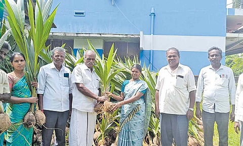 விவசாயிகளுக்கு தென்னங்கன்றுகள் வழங்கப்பட்டது.