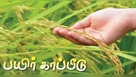 விவசாயிகள் பயிர்களை காப்பீடு செய்ய வேண்டும் கலெக்டர் உமா வேண்டுகொள்