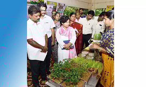 சிவகங்கை கலெக்டர் அலுவலகத்தில் அமைக்கப்பட்டிருந்த விவசாய செயல் விளக்க கண்காட்சியை கலெக்டர் ஆஷா அஜீத் பார்வையிட்டார்.