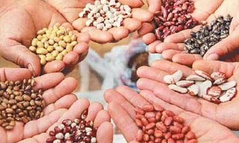 கோப்புபடம். 