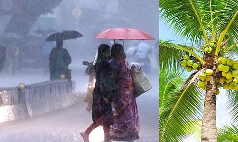 கோப்புபடம். 