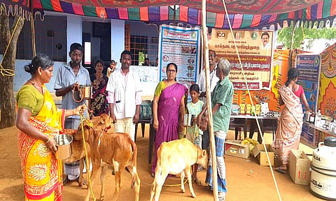 கயத்தாறு அருகே கால்நடை மருத்துவ முகாம்