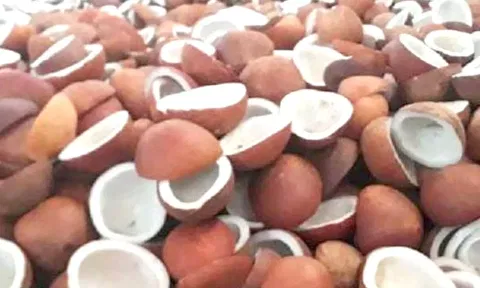 கோப்புபடம். 