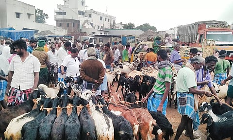 அய்யலூர் சந்தையில் விற்பனைக்கு கொண்டு வரப்பட்ட ஆடுகள்.
