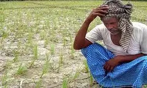 அரியலூர் மாவட்டத்தில் சம்பா சாகுபடி பாதிப்பு