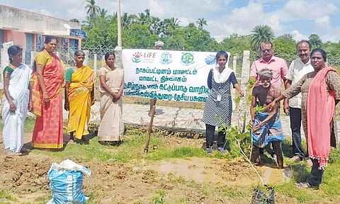 மரக்கன்று நடும்விழா நடந்தது.