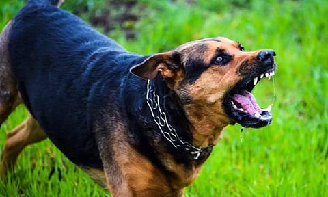 கோப்புபடம்