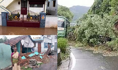 கோவை, நீலகிரியில் கொட்டி தீர்த்த கனமழை: 7 இடங்களில் மரங்கள் முறிந்து விழுந்தன