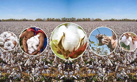 கோப்பு படம்.