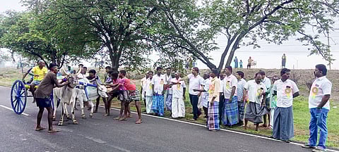 விளாத்திகுளம் அருகே மாட்டு வண்டி பந்தயம்