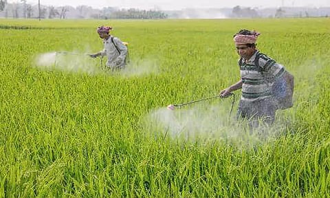 விவசாயிகள் பயிர் காப்பீடு செய்ய 15-ந்தேதி கடைசி நாள்