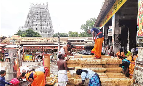 தீபத் திருவிழா: அருணாசலேஸ்வரர் கோவிலில் உழவார பணி